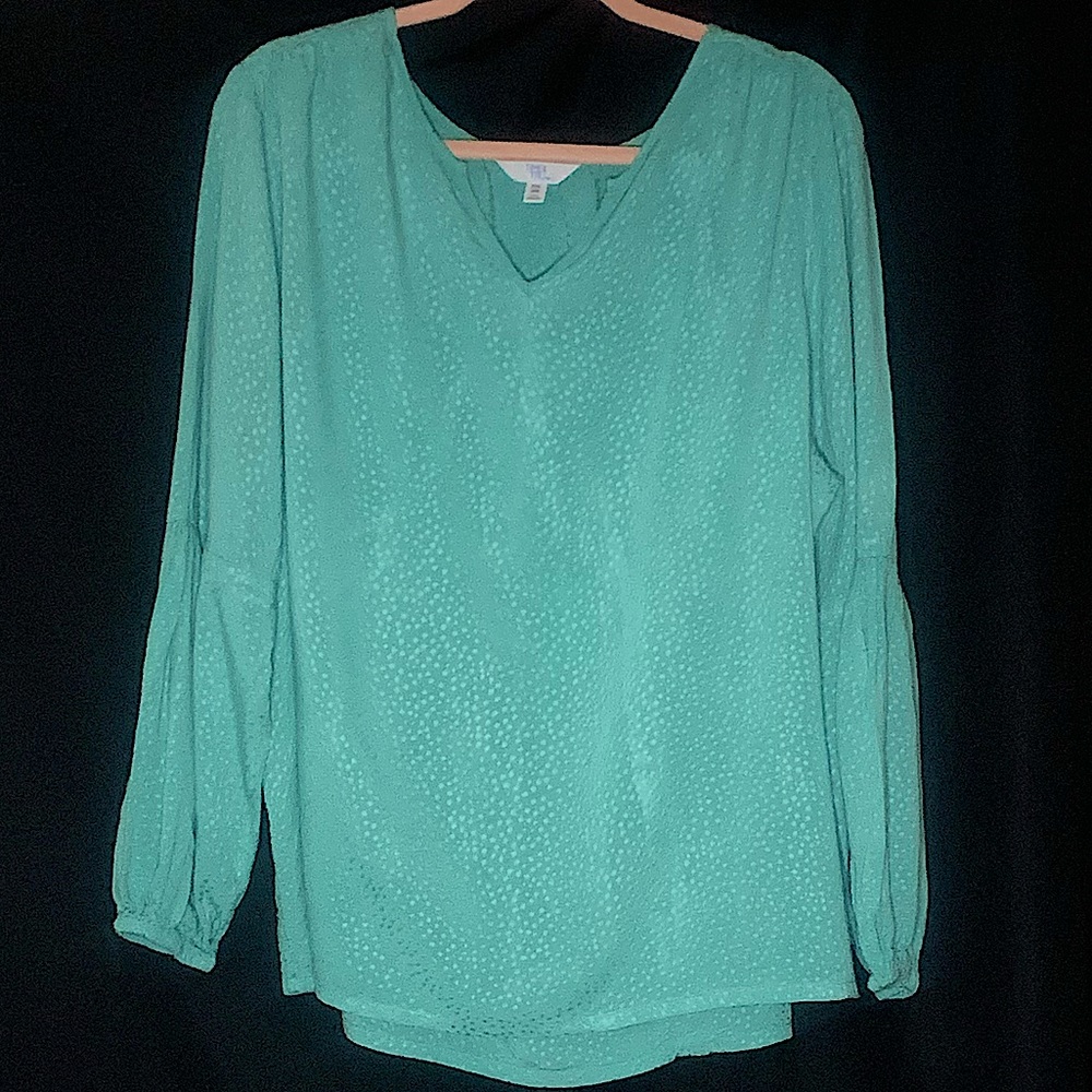 Time and Tru Green, Split Neck, long sleeve blouse, Size 20